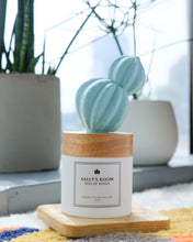 Load image into Gallery viewer, Aroma Cactus Diffuser 80ml | Sally's Room SG
