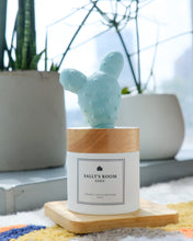 Load image into Gallery viewer, Ceramic Cactus Accessories | Sally's Room SG