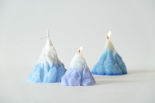 Load image into Gallery viewer, Palm Wax Candle Making - Beginner | Sally's Room SG