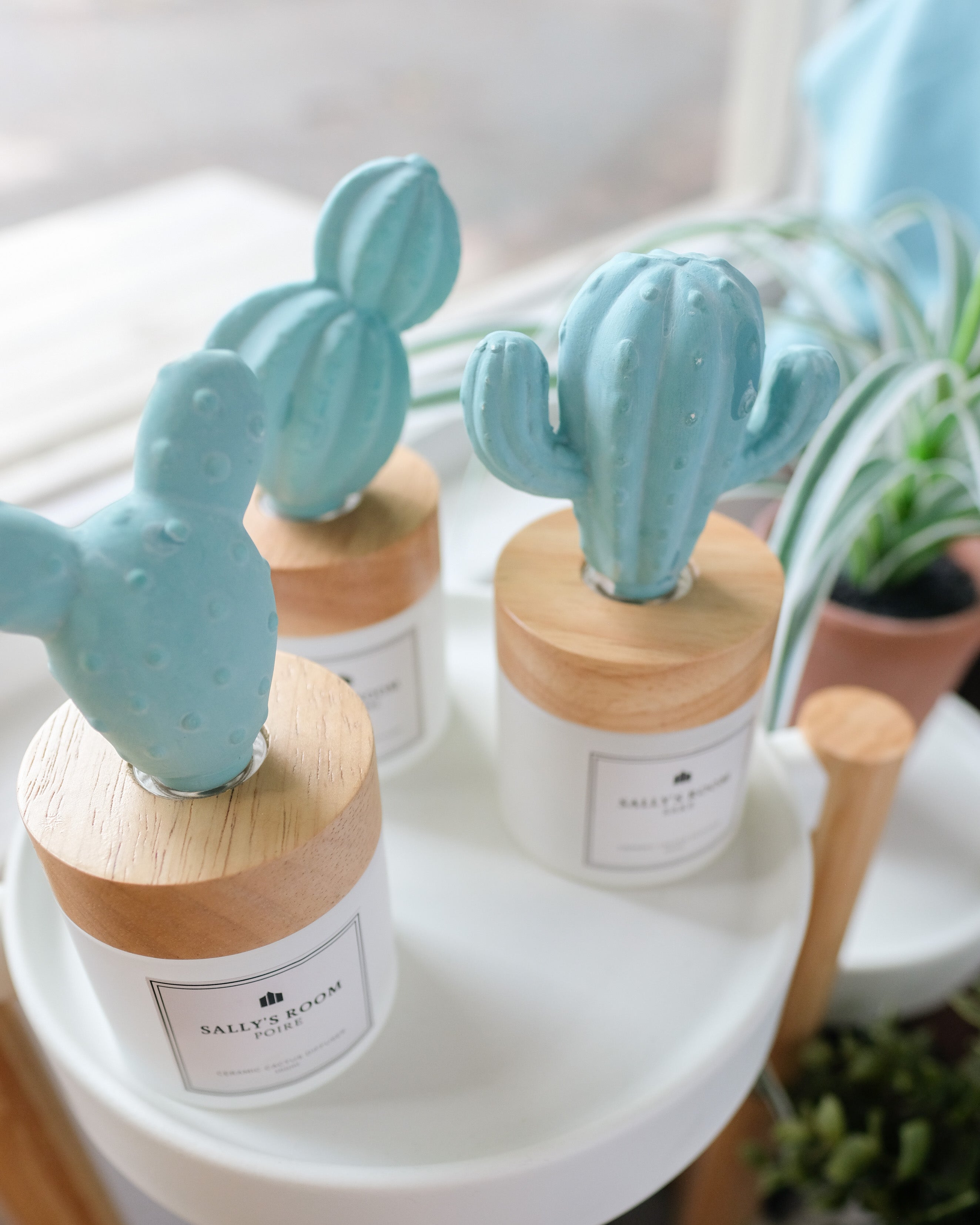 Aroma Cactus Diffuser 100ml | Sally's Room SG – Sally's Room - Handmade ...
